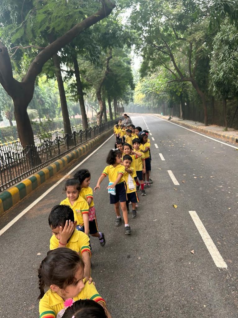 Educational Journey